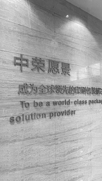 愿景